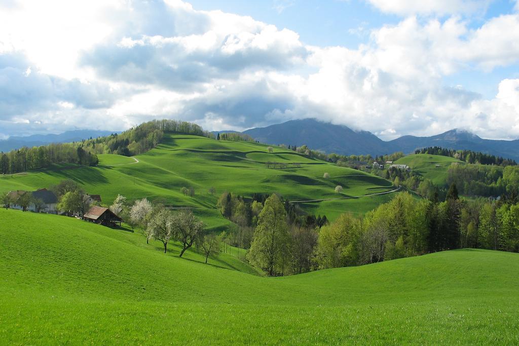 Villa Tourist Farm Ljubica à Poljane nad Škofjo Loko Extérieur photo