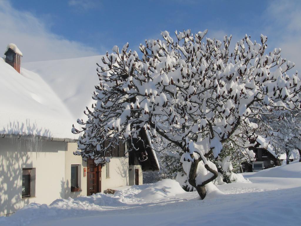 Villa Tourist Farm Ljubica à Poljane nad Škofjo Loko Extérieur photo