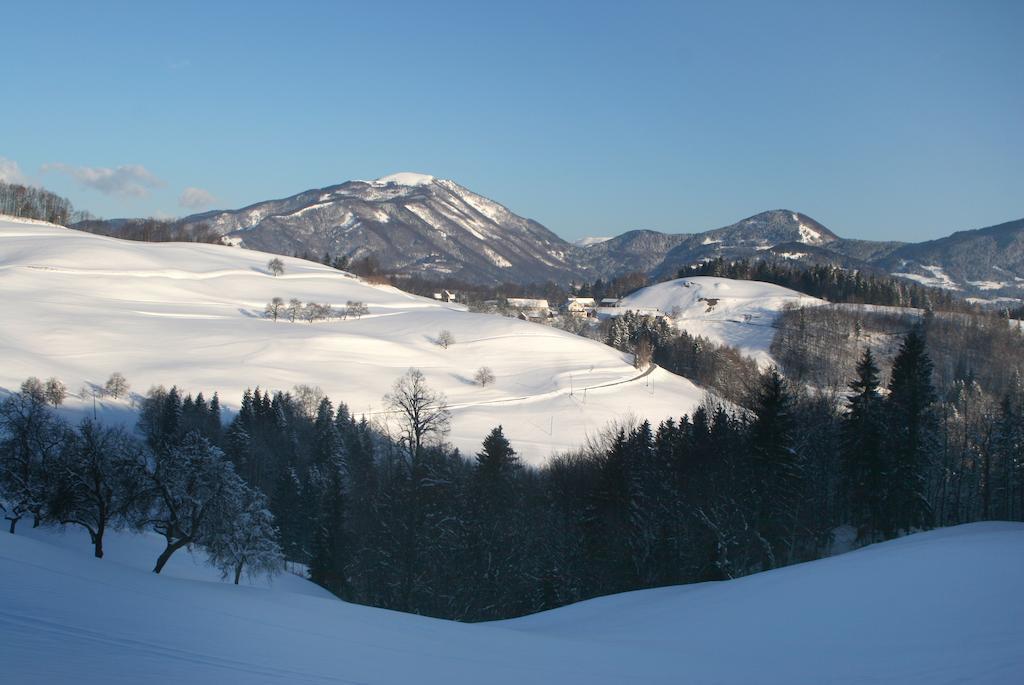 Villa Tourist Farm Ljubica à Poljane nad Škofjo Loko Extérieur photo