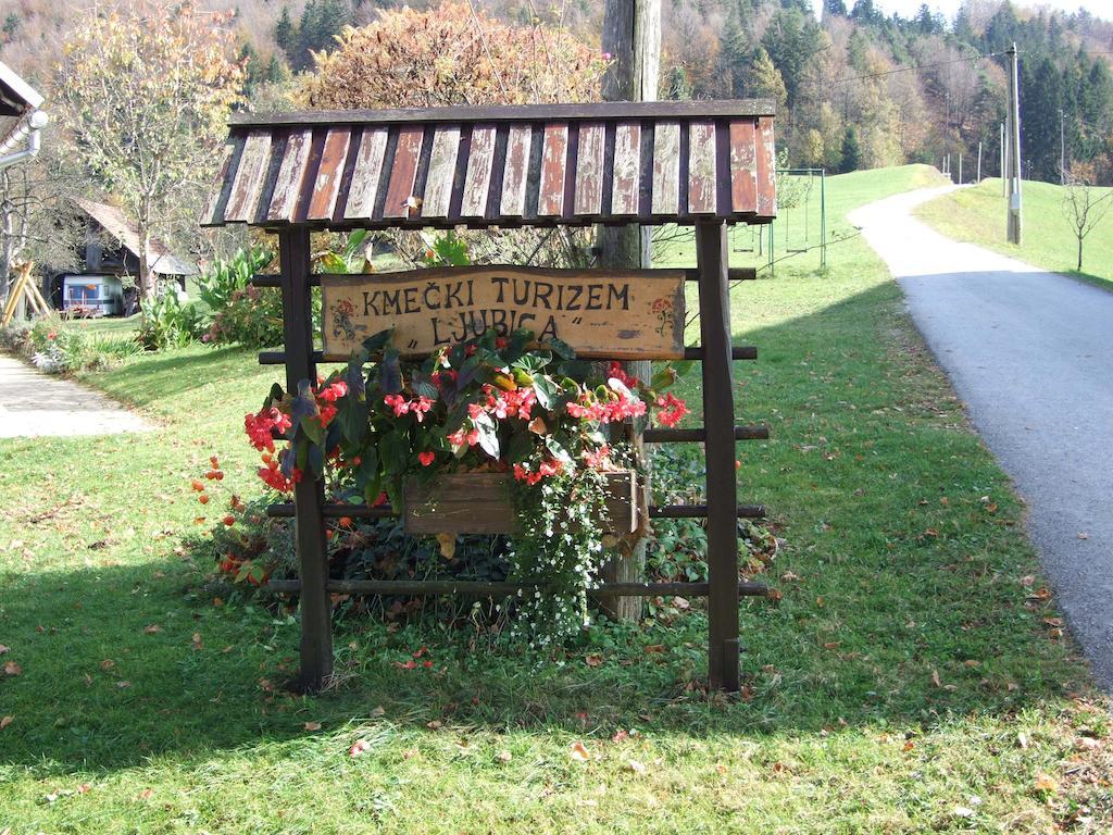 Villa Tourist Farm Ljubica à Poljane nad Škofjo Loko Extérieur photo
