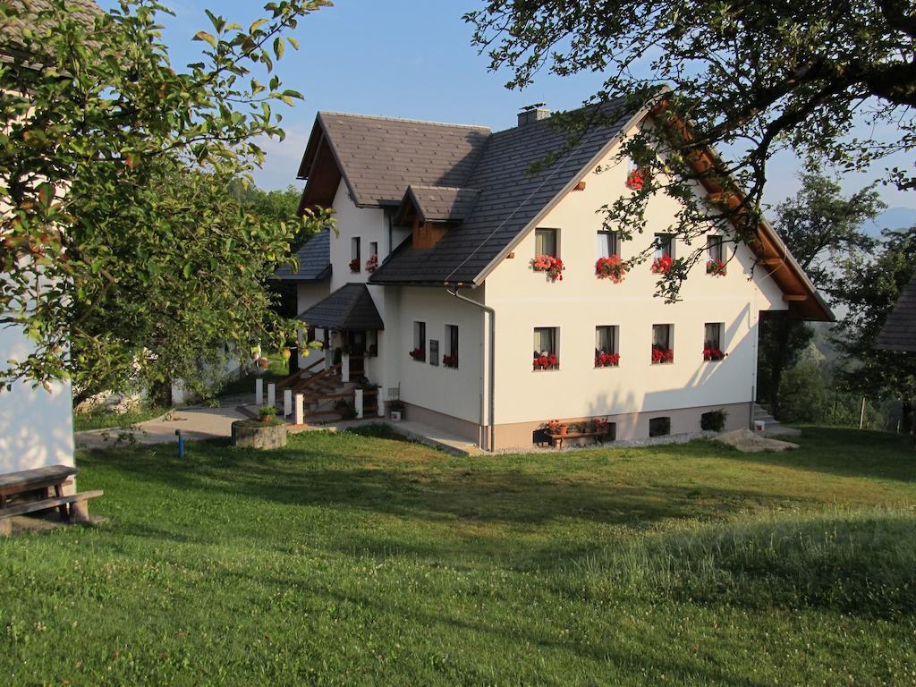 Villa Tourist Farm Ljubica à Poljane nad Škofjo Loko Extérieur photo